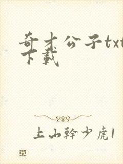 奇才公子txt下载