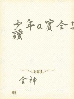 少年a宾全集阅读