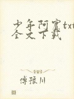 少年阿宾txt全文下载