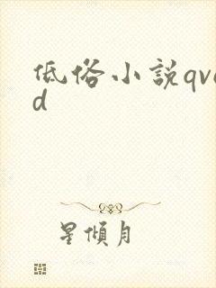 低俗小说qvod