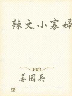 辣文小寡妇