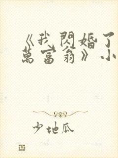 《我闪婚了个亿万富翁》小说