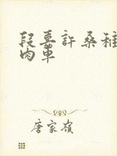 段嘉许桑稚浴室肉车