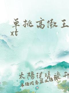 单挑高傲王子txt