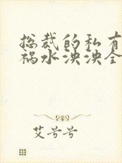 总裁的私有宝贝祸水泱泱全文阅读