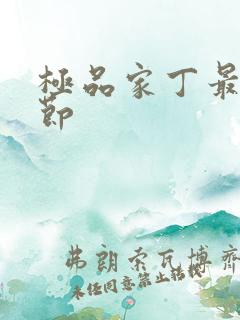 极品家丁最新章节