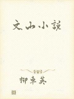 文山小说