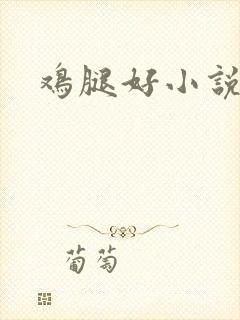 鸡腿好小说网