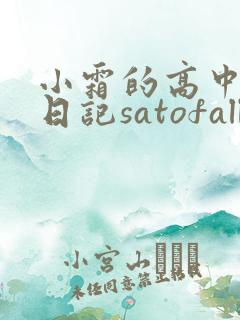 小霜的高中成长日记satofall