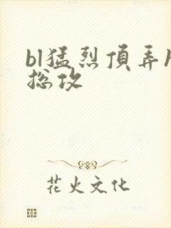 bl猛烈顶弄h总攻