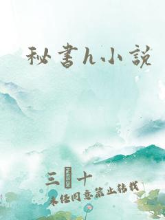 秘书h小说