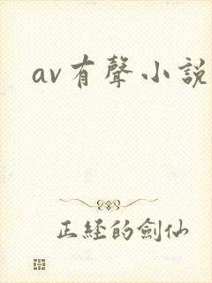 av有声小说