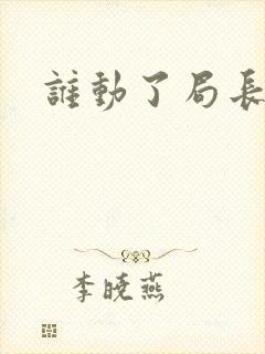 谁动了局长夫人