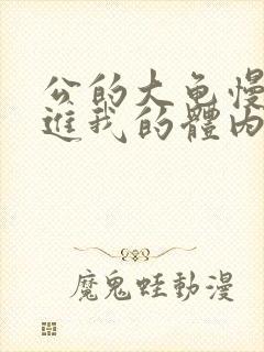 公的大龟慢慢挺进我的体内