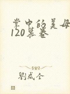 掌中的美母版主120慕卷