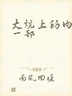 大炕上的肉伦第一部