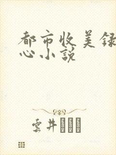 都市收美录宁素心小说