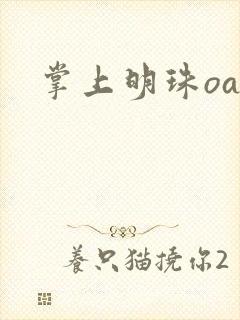 掌上明珠oa