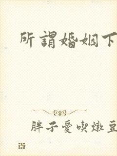 所谓婚姻下载