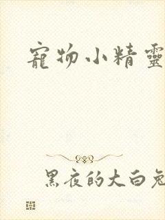 宠物小精灵之梦