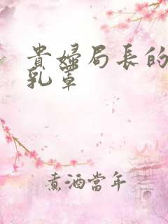 贵妇局长的蕾丝乳罩