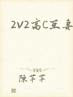 2V2高C互妻