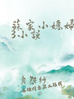 苏家小媳妇1V3小说