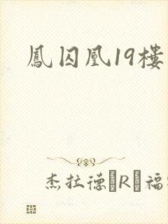 凤囚凰19楼