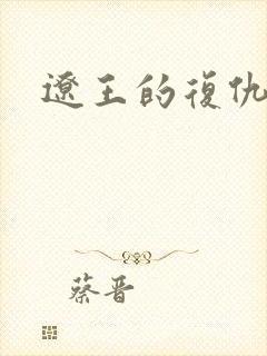 辽王的复仇小妾