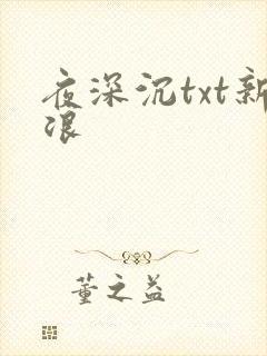夜深沉txt新浪