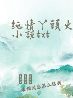 纯情丫头火辣辣小说txt