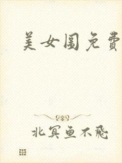 美女图免费小说