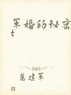军婚的秘密txt