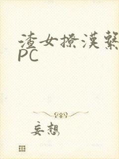 渣女撩汉系统NPC