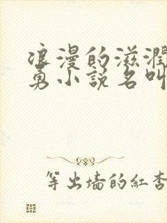 浪漫的滋润刘大勇小说名叫什么?