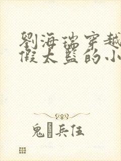 刘海瑞穿越后宫假太监的小说