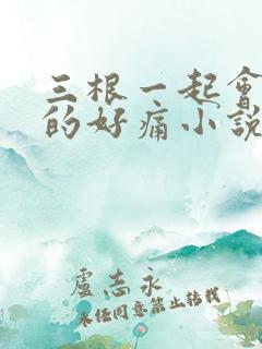 三根一起会坏掉的好痛小说