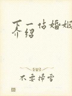 下一站婚姻剧情介绍