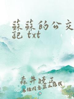 苏苏的公交车日记 txt