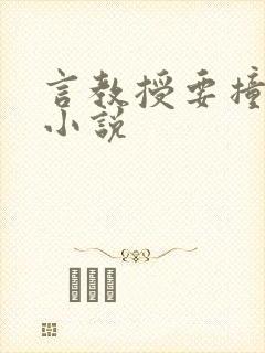 言教授要撞坏了小说