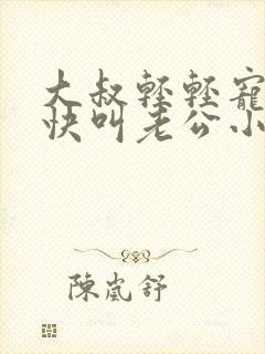 大叔轻轻宠宝贝快叫老公小说