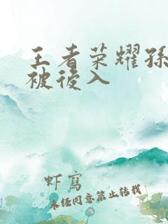 王者荣耀孙尚香被后入