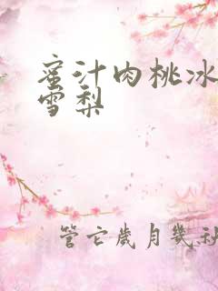 蜜汁肉桃冰糖炖雪梨