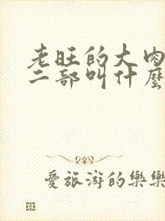 老旺的大肉蟒第二部叫什么小说