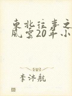 东北往事之黑道风云20年小说