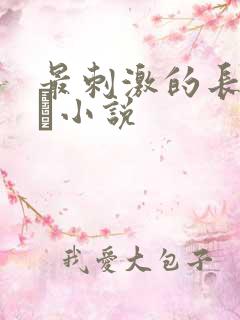 最刺激的长篇乱惀小说