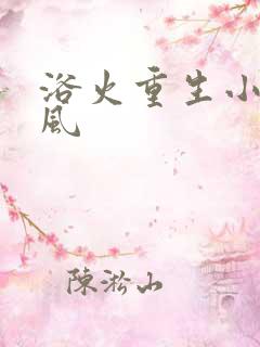 浴火重生小说陈风