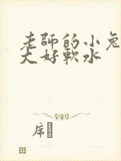 老师的小兔子好大好软水