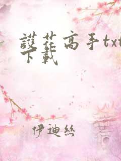 护花高手txt下载