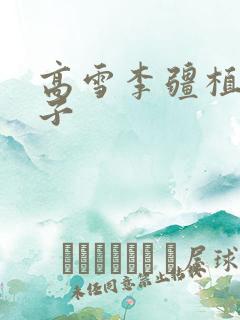 高雪李疆植物儿子